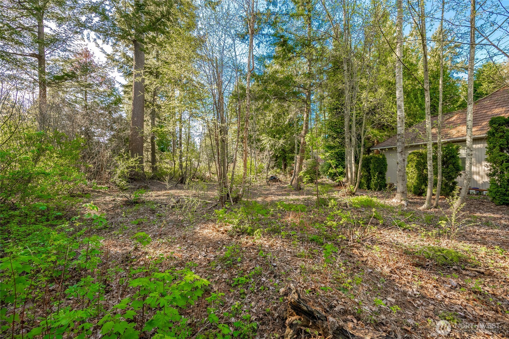 8647 Great Horned Owl Lane Blaine WA 98230