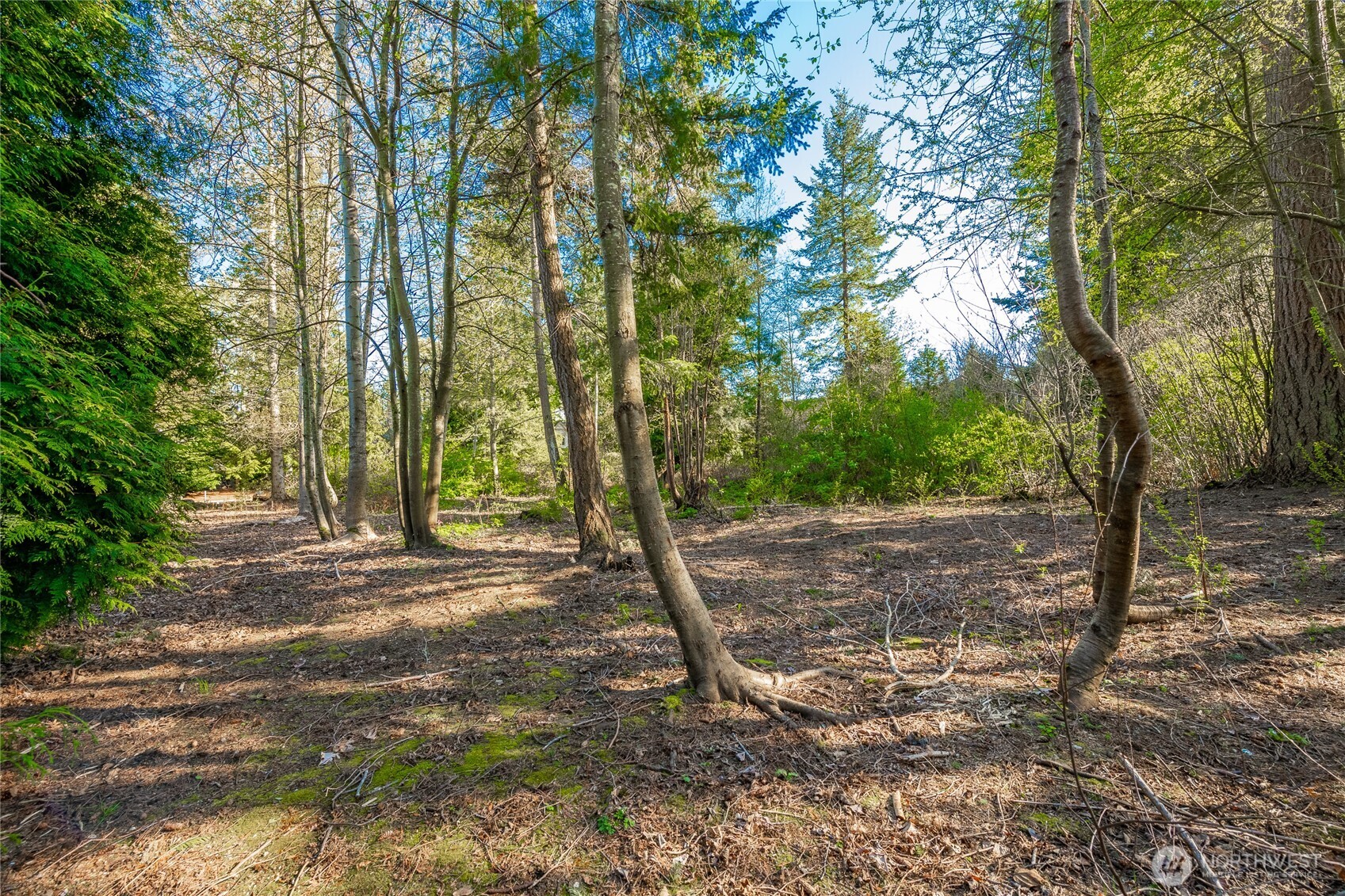 8647 Great Horned Owl Lane Blaine WA 98230