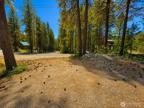 21606 Camp 12 Road Leavenworth WA 98826