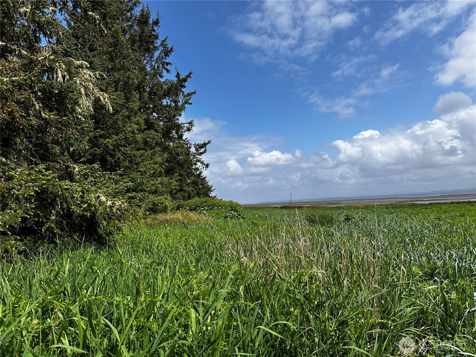 31010 Sandridge Road Oysterville WA 98640