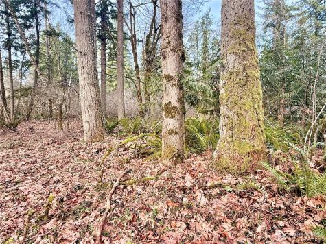 20403 SE 248th Street Maple Valley WA 98038