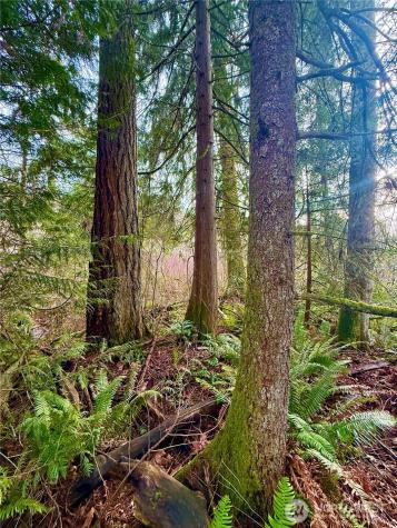 20403 SE 248th Street Maple Valley WA 98038