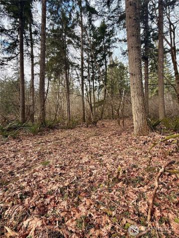 20403 SE 248th Street Maple Valley WA 98038