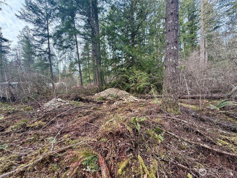 20403 SE 248th Street Maple Valley WA 98038
