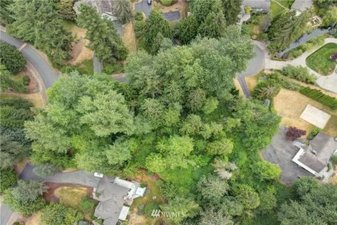 11217 167th Court NE Redmond WA 98052
