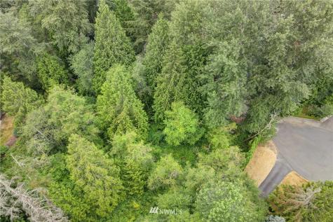 11217 167th Court NE Redmond WA 98052
