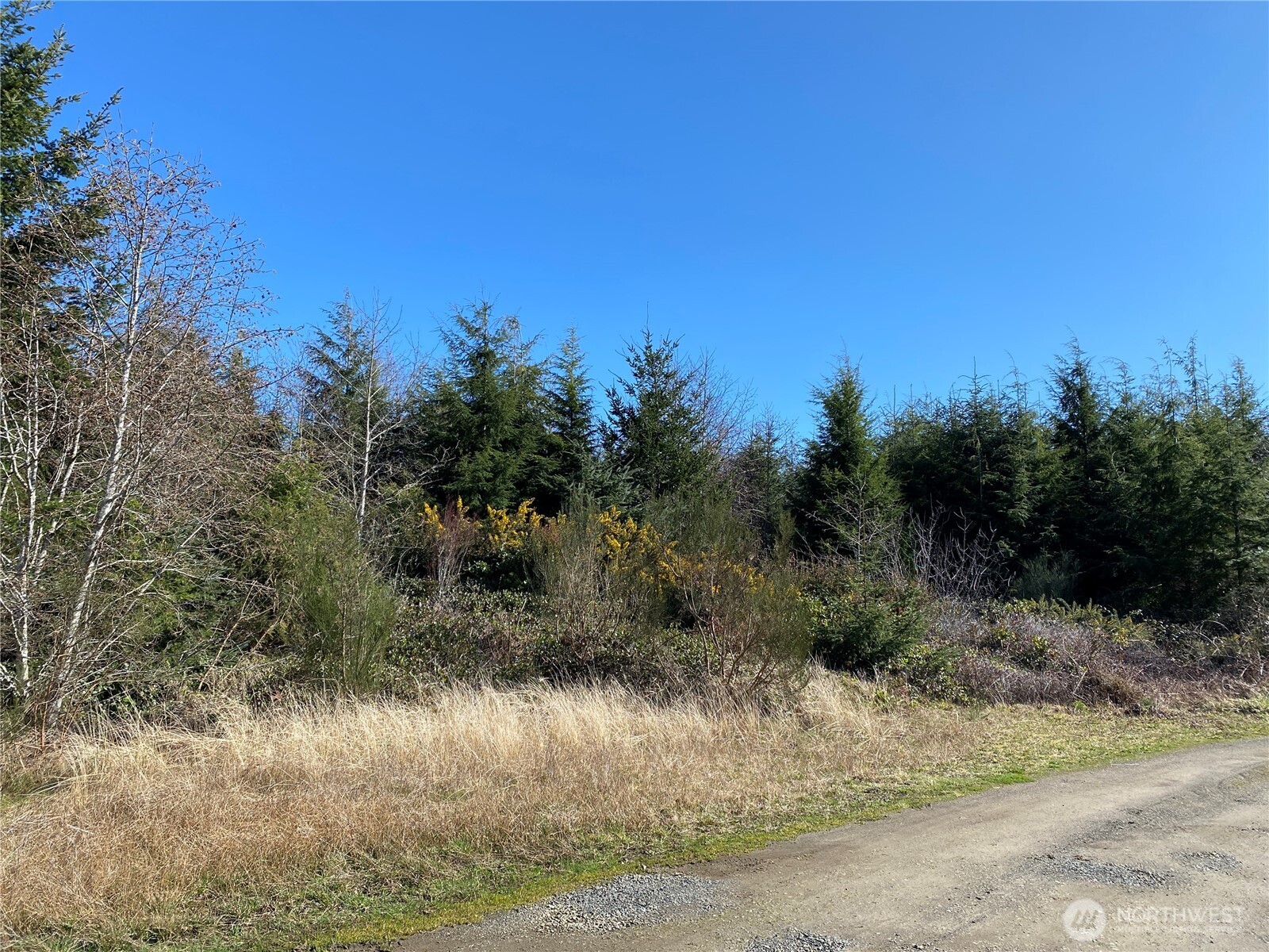 23800 Elm (across From 23804) Ocean Park WA 98640