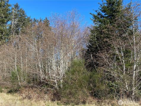 23800 Elm (across From 23804) Ocean Park WA 98640