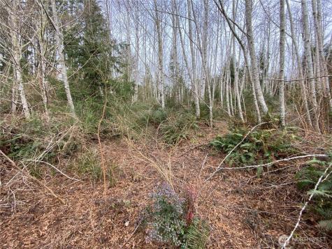 23800 Elm (across From 23804) Ocean Park WA 98640