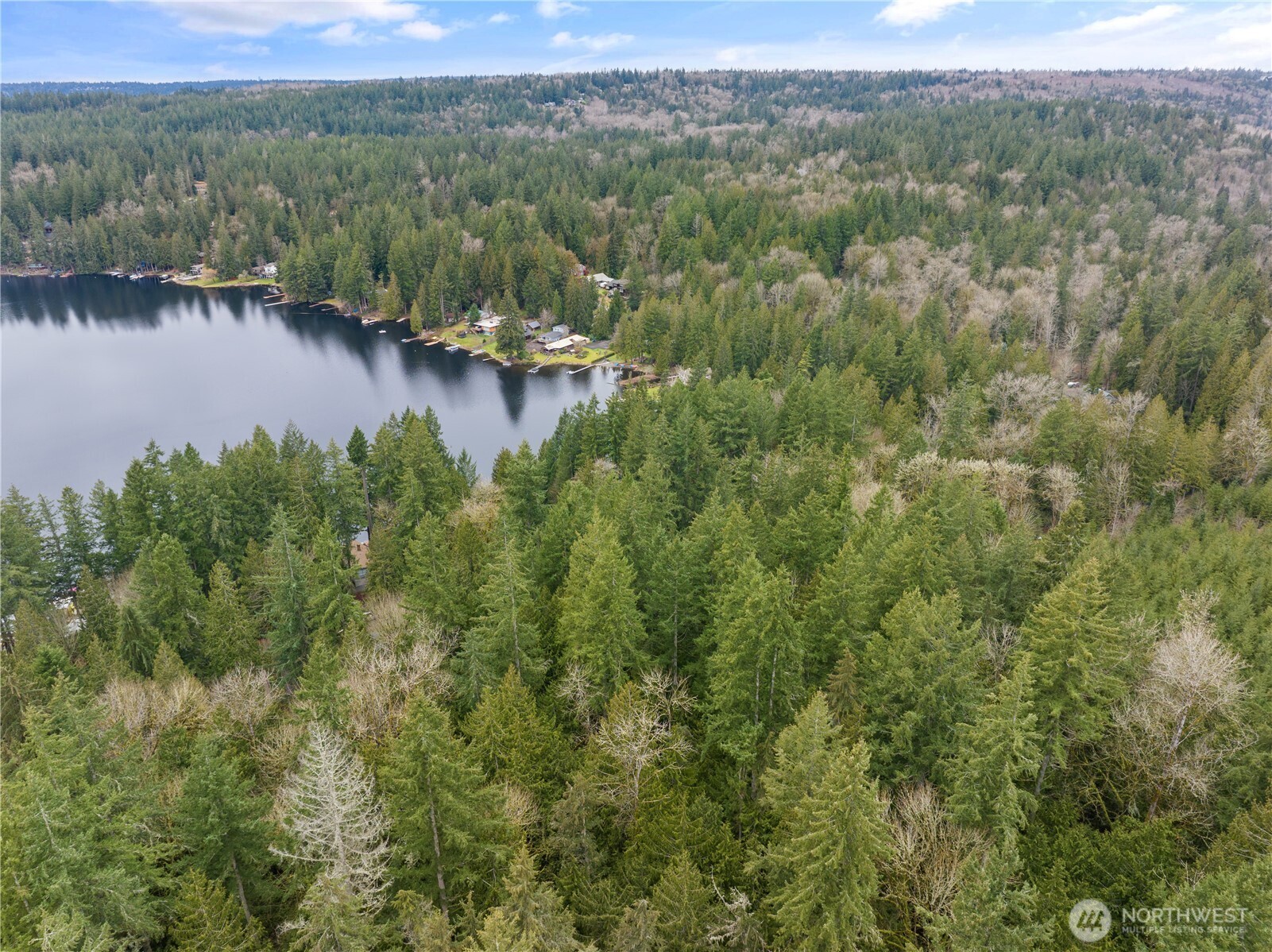 3866 E Ames Lake Drive NE Redmond WA 98053