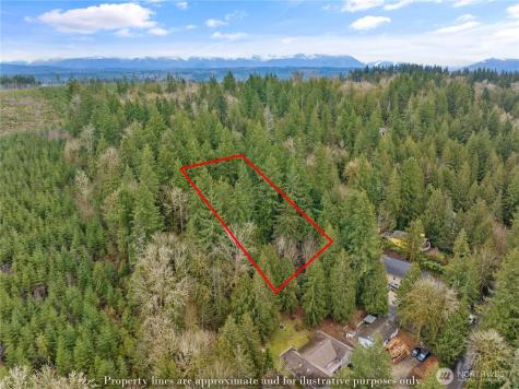 3866 E Ames Lake Drive NE Redmond WA 98053