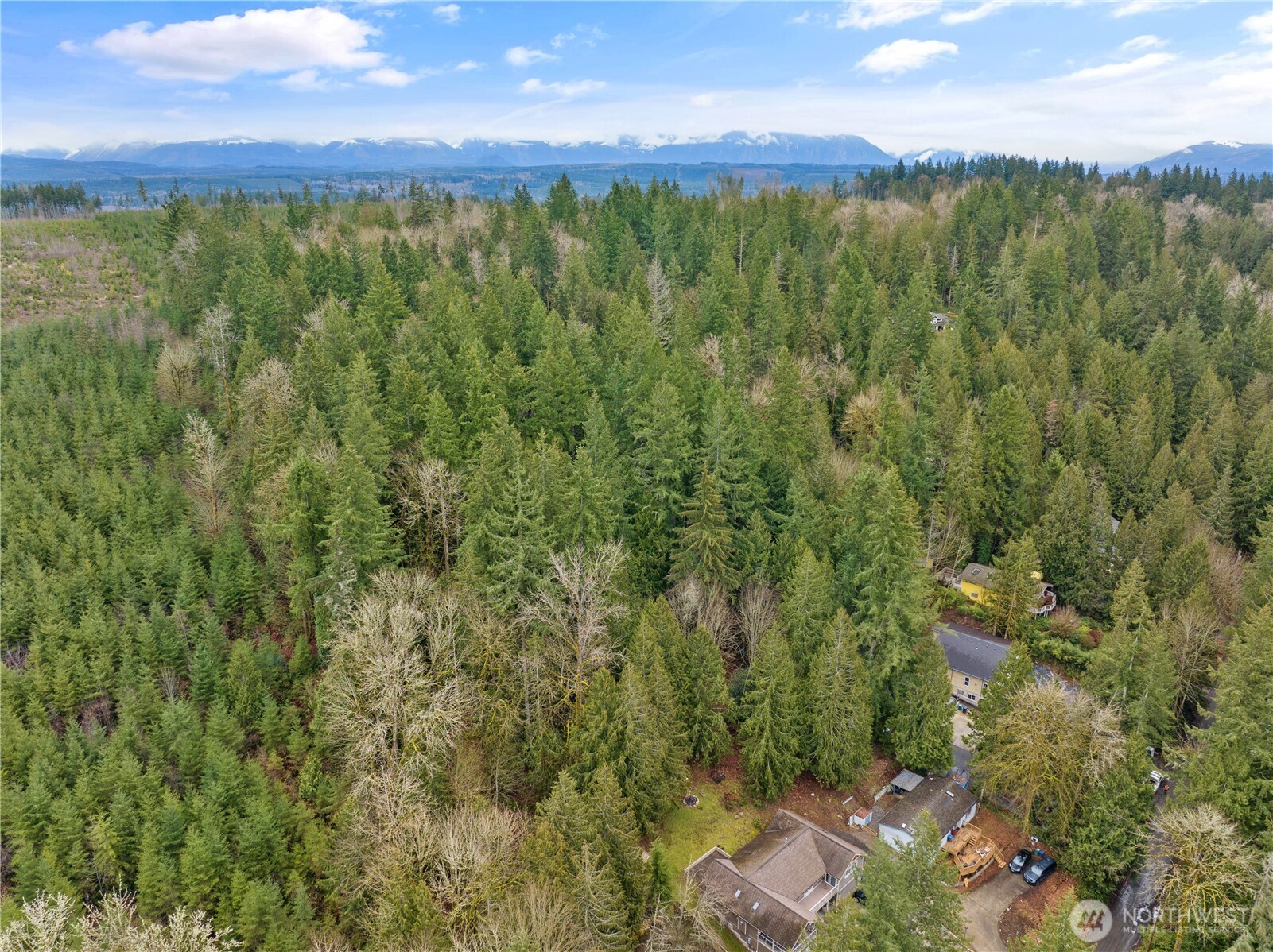 3866 E Ames Lake Drive NE Redmond WA 98053