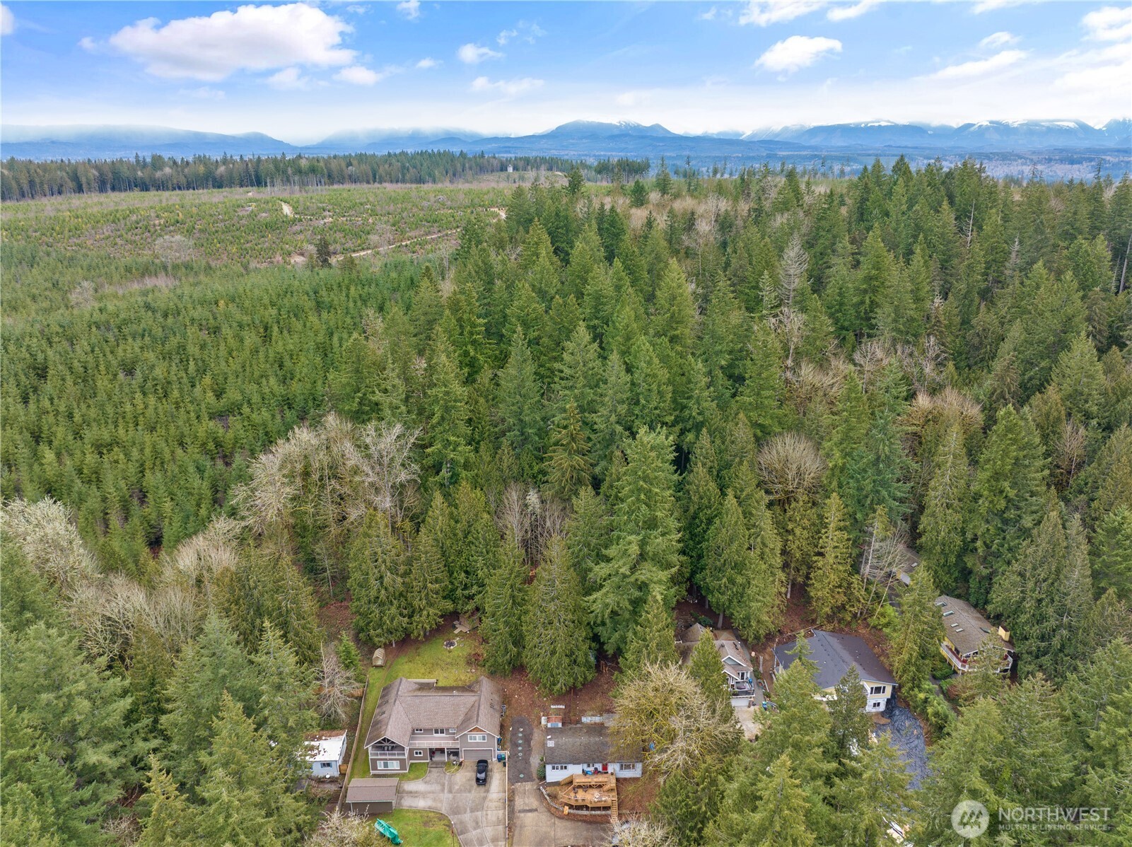 3866 E Ames Lake Drive NE Redmond WA 98053