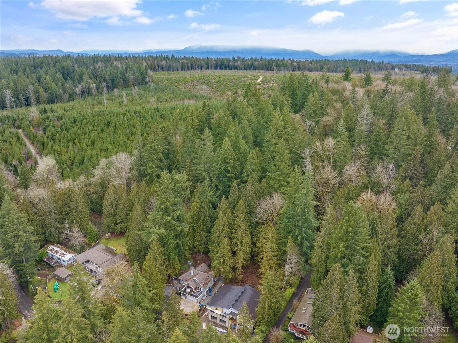 3866 E Ames Lake Drive NE Redmond WA 98053