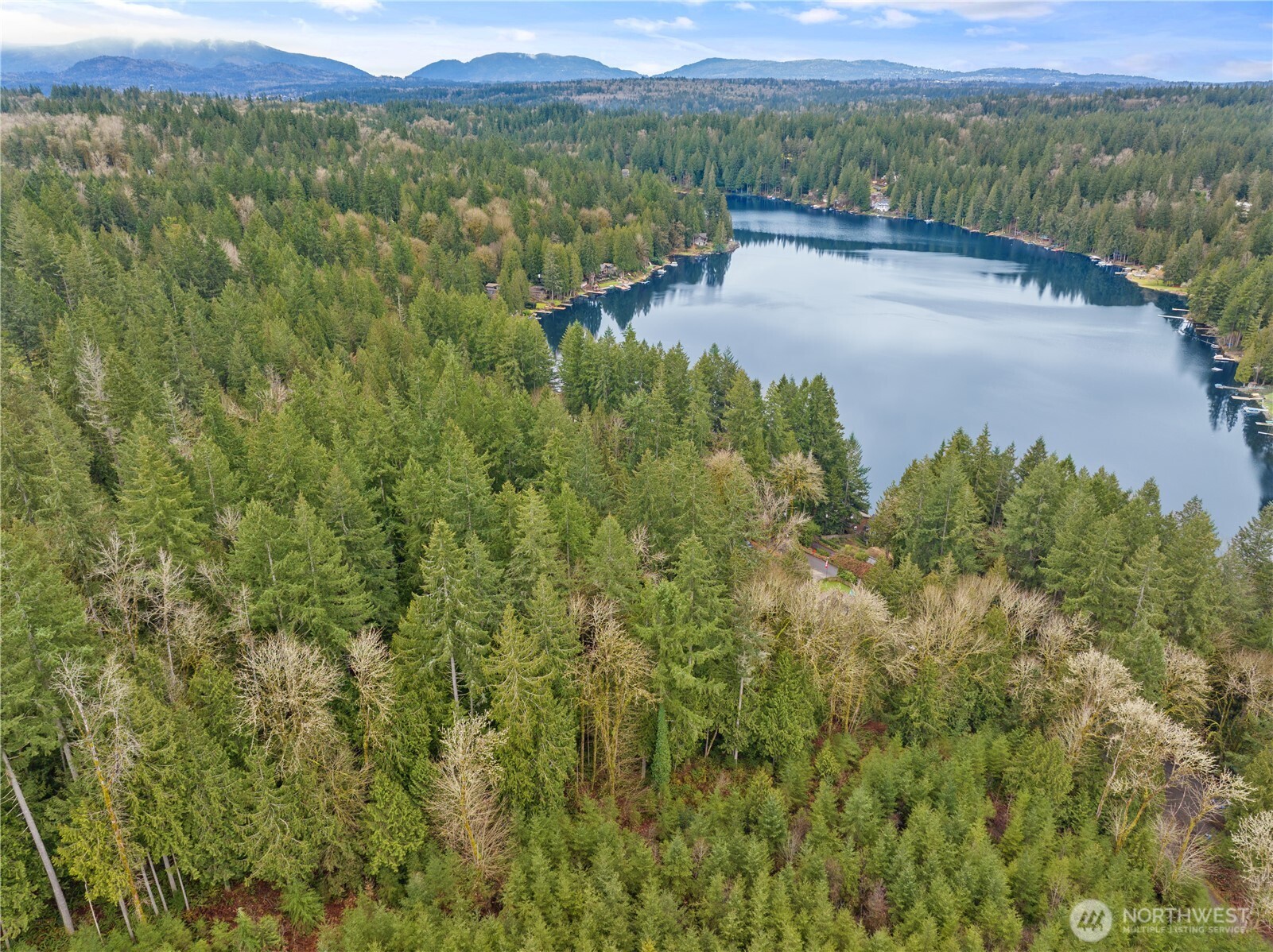 3866 E Ames Lake Drive NE Redmond WA 98053