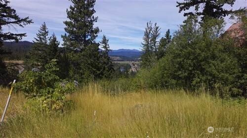 17 Twin Lakes Road Cle Elum WA 98922