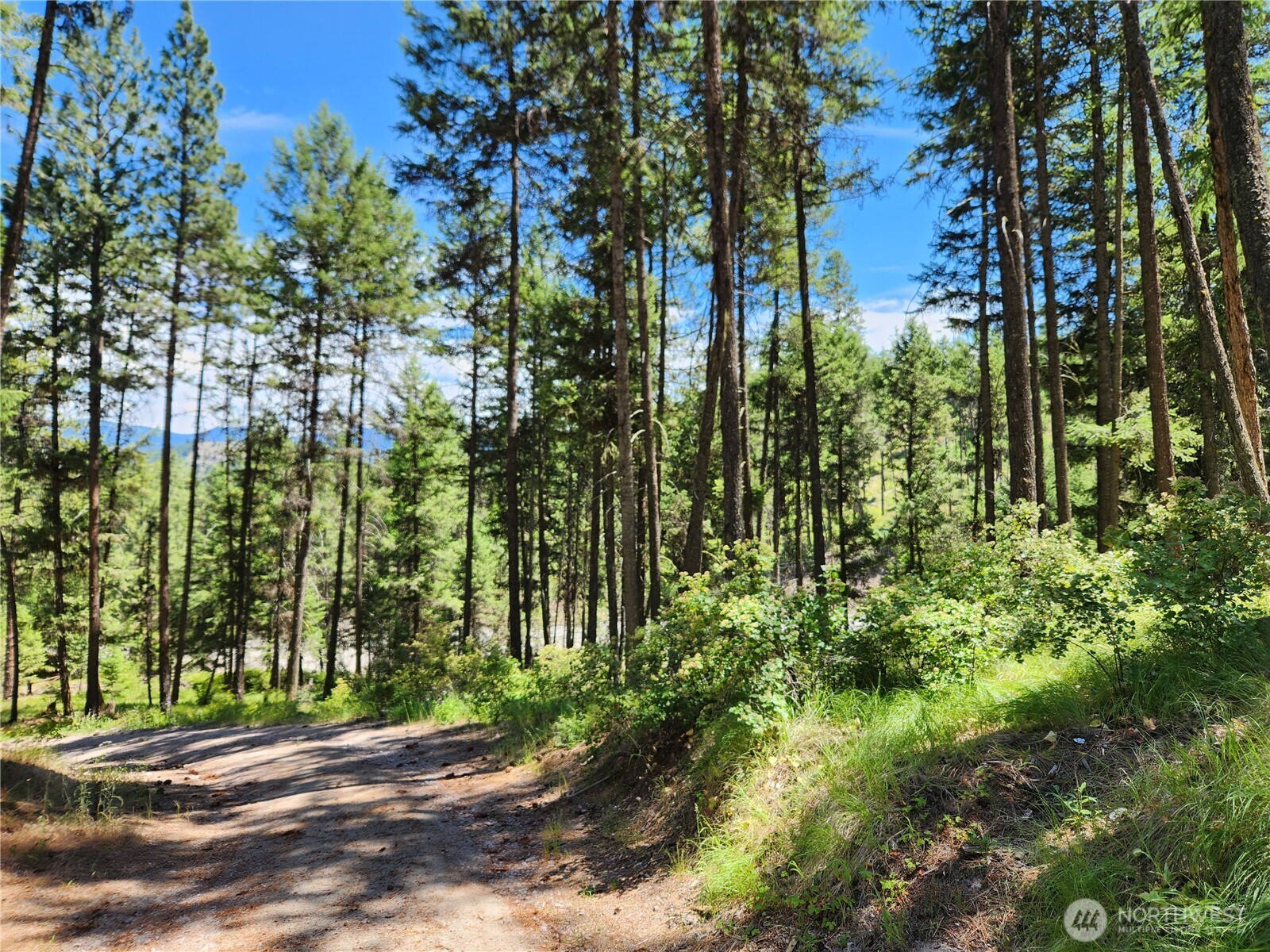 0 Klondike Road Republic WA 99166