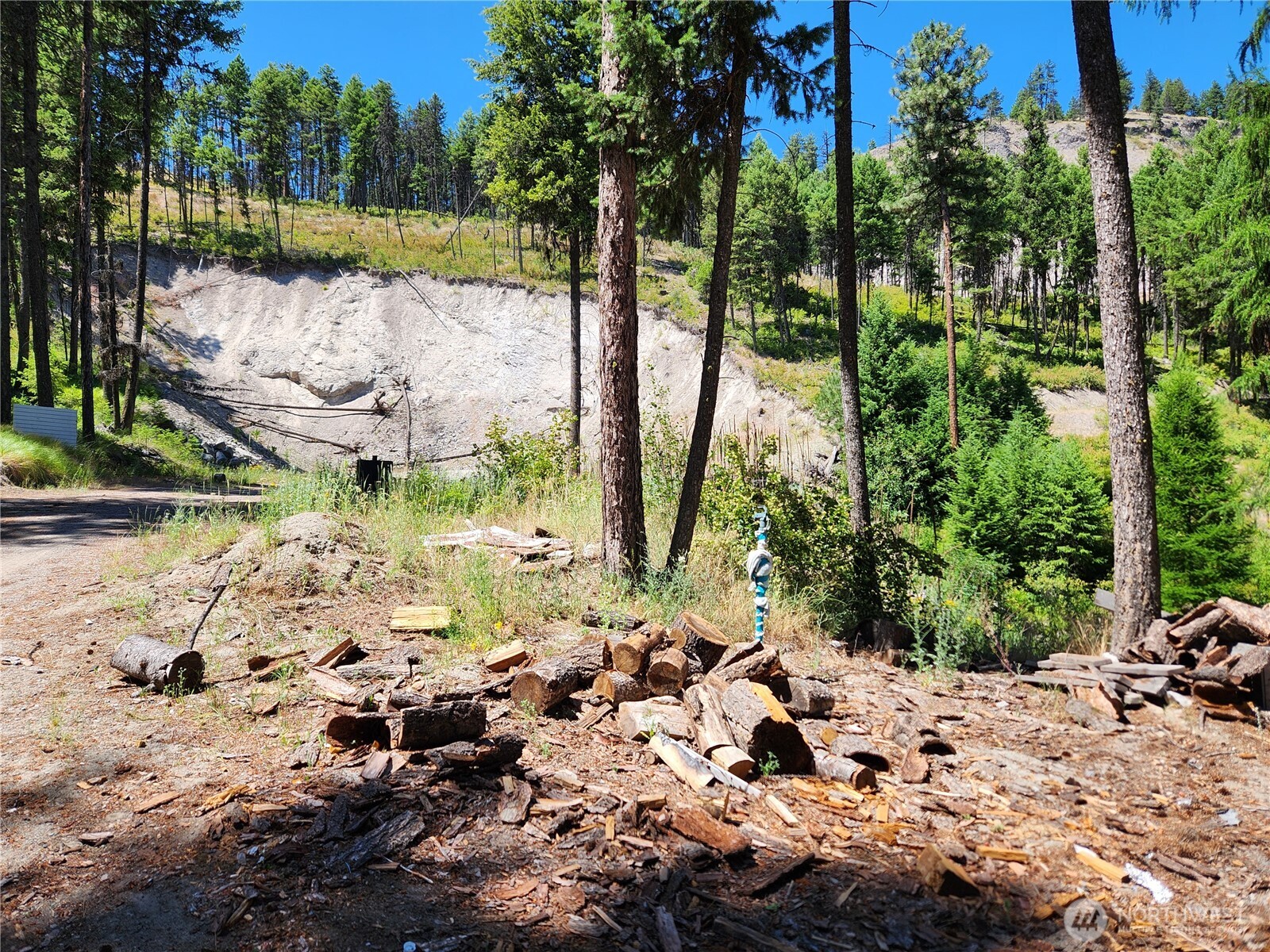 0 Klondike Road Republic WA 99166