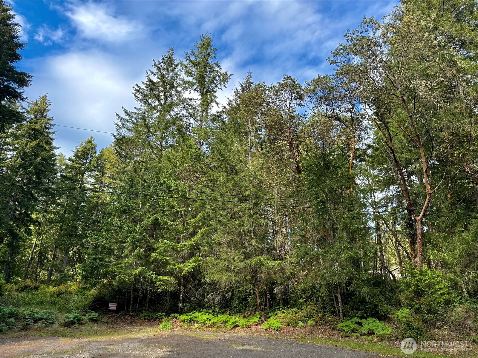 12027 Country Club Drive Anderson Island WA 98303