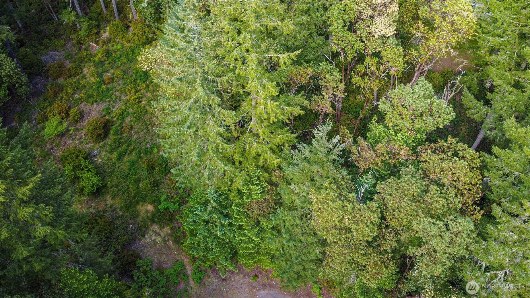 12027 Country Club Drive Anderson Island WA 98303