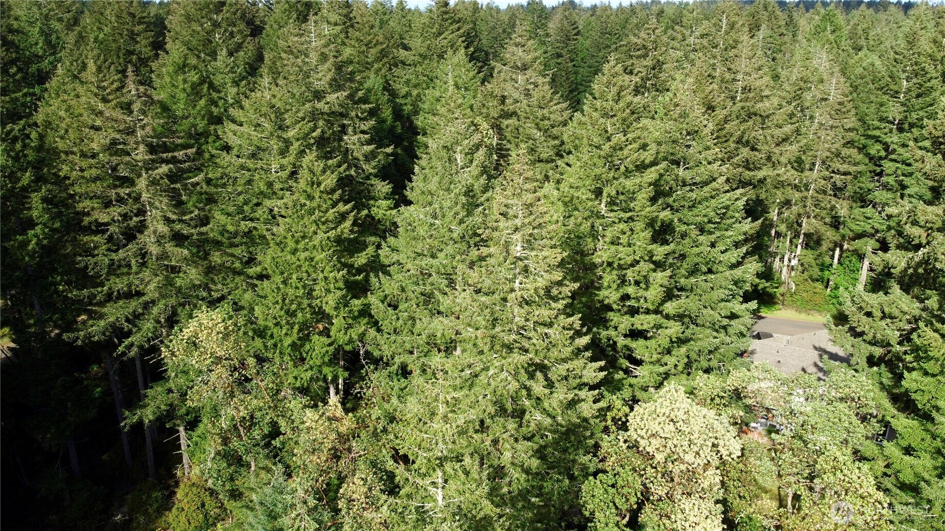12027 Country Club Drive Anderson Island WA 98303