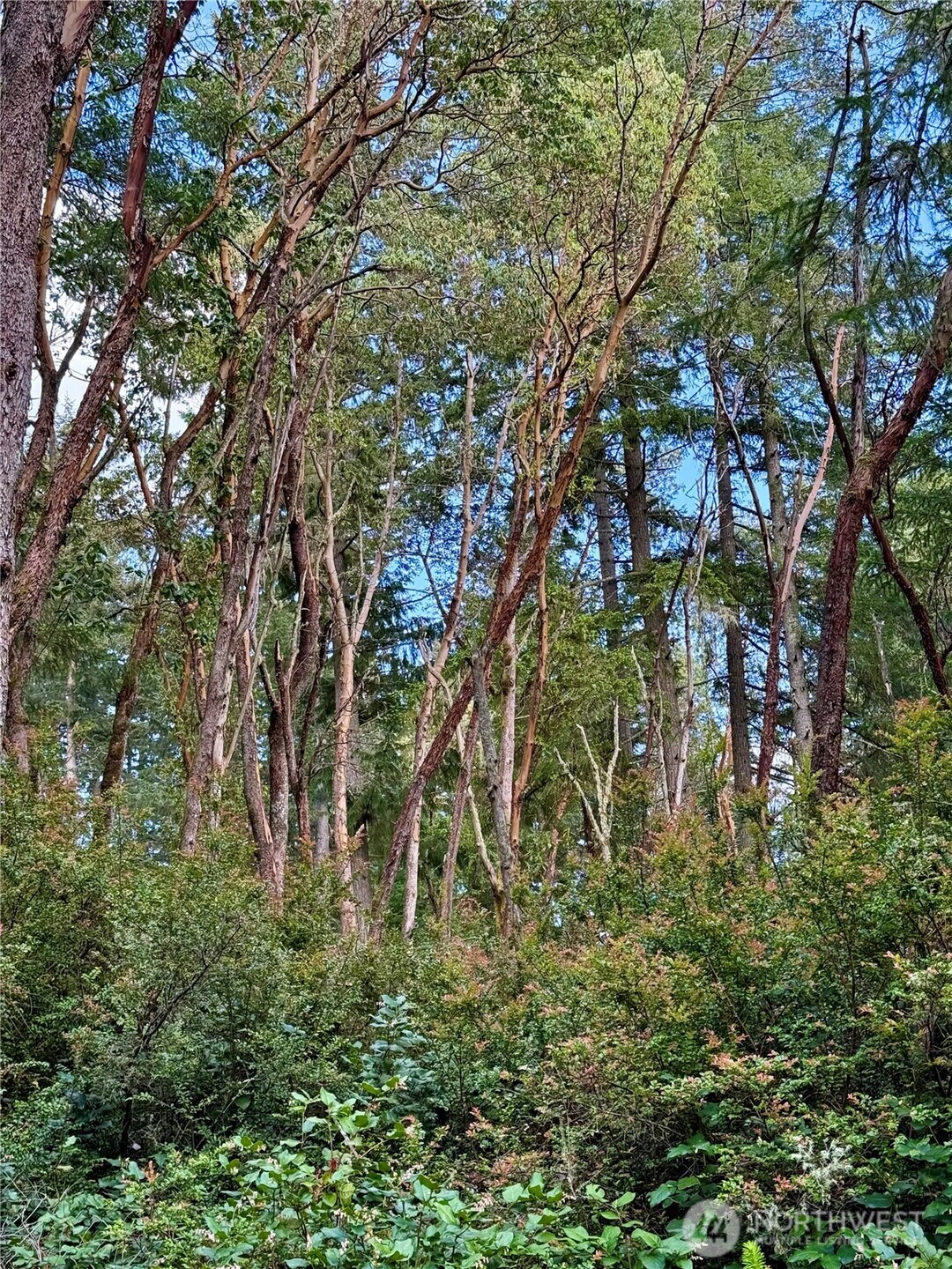 12027 Country Club Drive Anderson Island WA 98303
