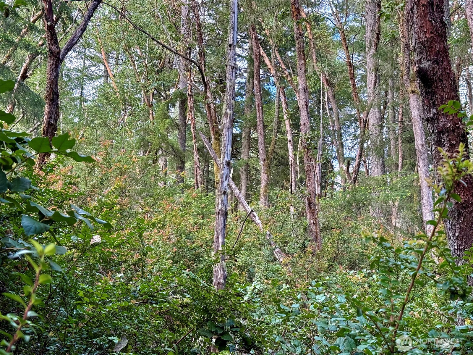 12027 Country Club Drive Anderson Island WA 98303