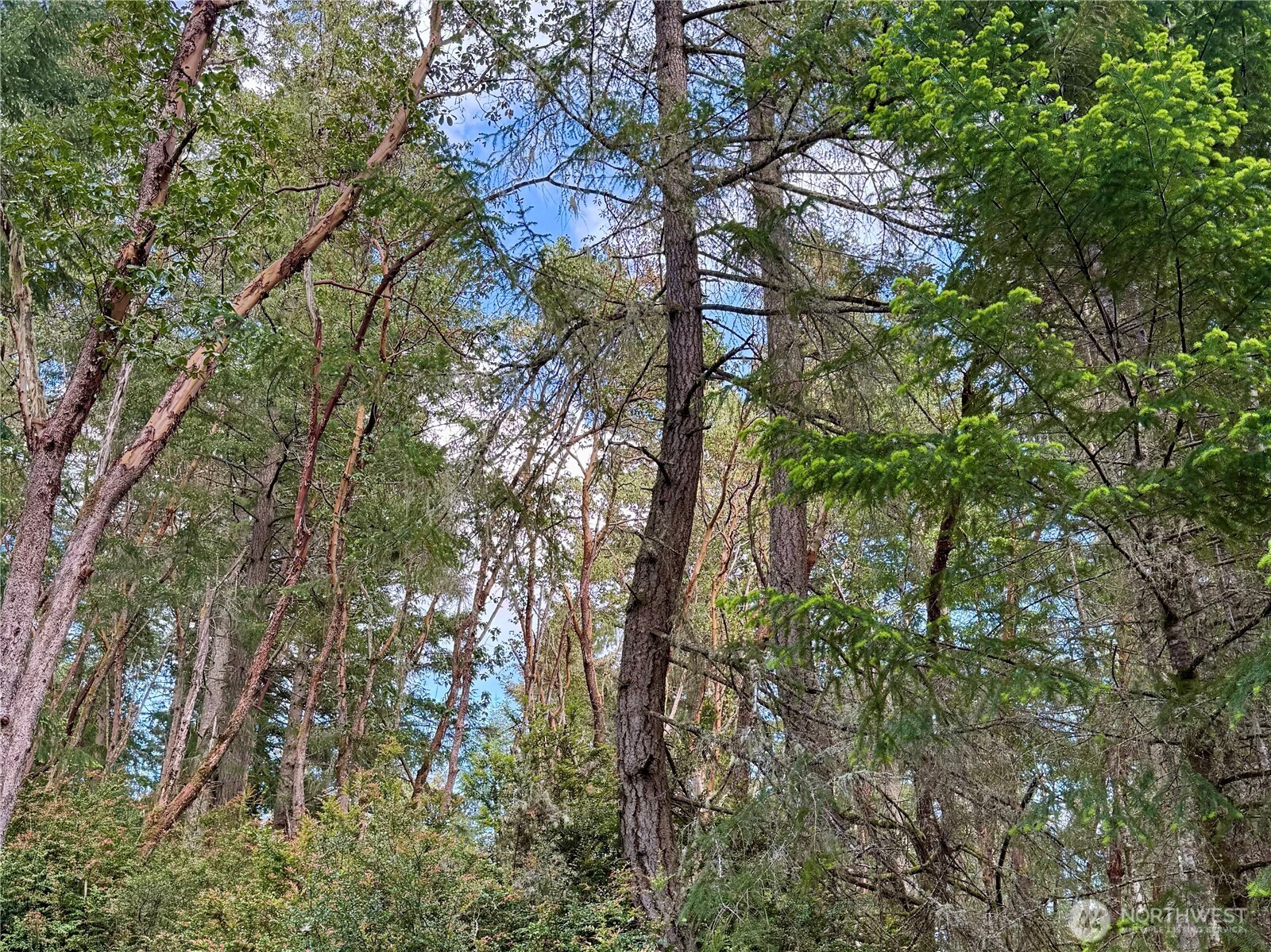12027 Country Club Drive Anderson Island WA 98303