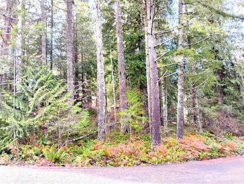 78 Fir Park Lane Packwood WA 98361
