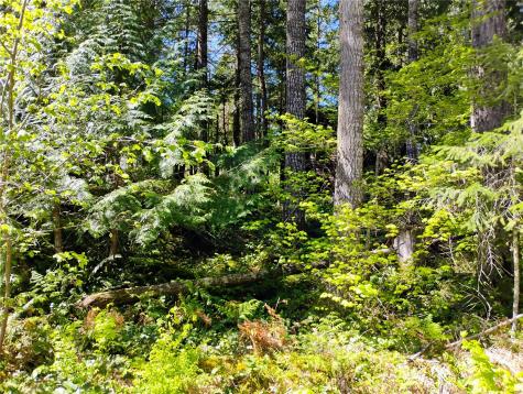 78 Fir Park Lane Packwood WA 98361