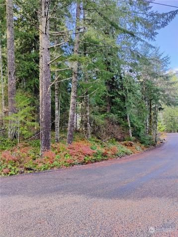 78 Fir Park Lane Packwood WA 98361