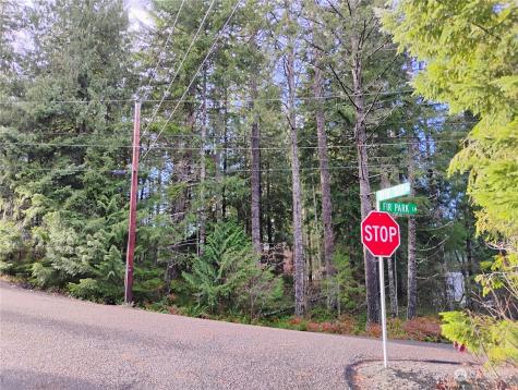 78 Fir Park Lane Packwood WA 98361