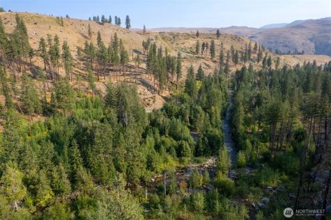 88 Gold Creek Road Carlton WA 98814