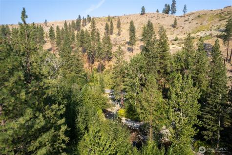 88 Gold Creek Road Carlton WA 98814