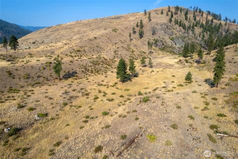 88 Gold Creek Road Carlton WA 98814