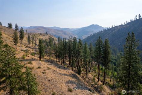 88 Gold Creek Road Carlton WA 98814