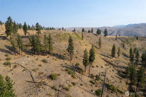 88 Gold Creek Road Carlton WA 98814