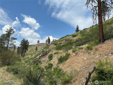 88 Gold Creek Road Carlton WA 98814