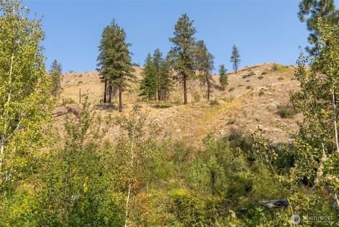 88 Gold Creek Road Carlton WA 98814