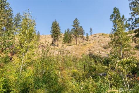 88 Gold Creek Road Carlton WA 98814