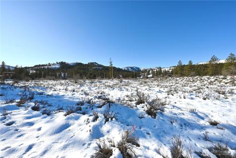 0 Green Meadows Drive Winthrop WA 98862