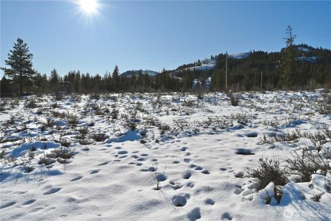 0 Green Meadows Drive Winthrop WA 98862