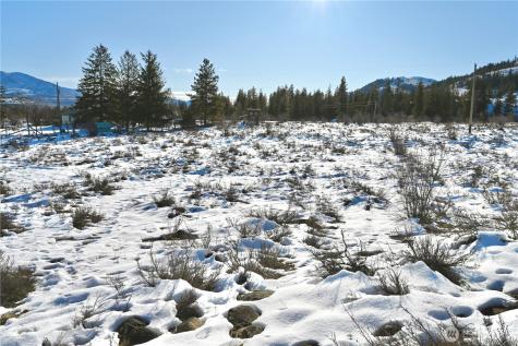 0 Green Meadows Drive Winthrop WA 98862