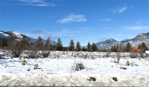 0 Green Meadows Drive Winthrop WA 98862