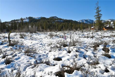 0 Green Meadows Drive Winthrop WA 98862