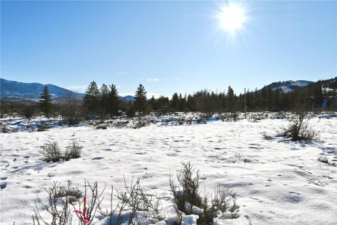 0 Green Meadows Drive Winthrop WA 98862