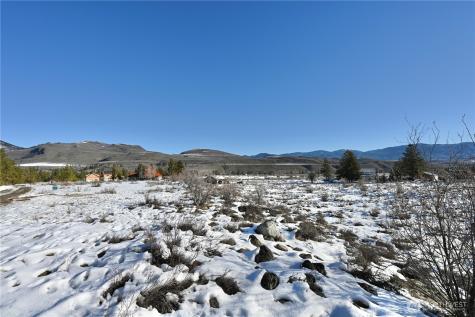 0 Green Meadows Drive Winthrop WA 98862