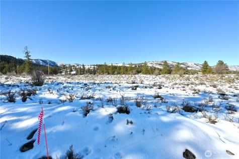 0 Green Meadows Drive Winthrop WA 98862