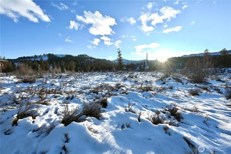 0 Green Meadows Drive Winthrop WA 98862