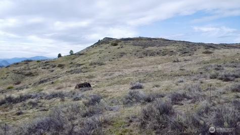 0 Overland Road S Oroville WA 98844